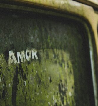 car window with armor print